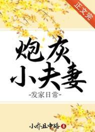 炮灰小夫妻发家日常完整版