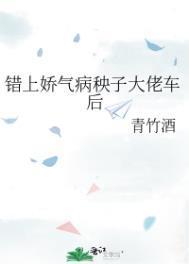 错上娇气病秧子大佬车后讲的什么