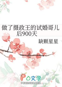 做了摄政王的试婚哥儿后900天有车吗