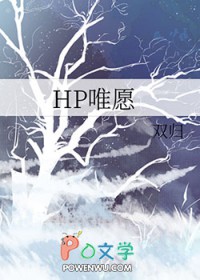 hp哈利波特之只为了你