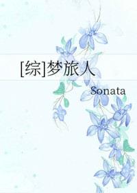 综梦旅人作者sonata