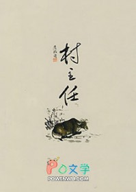 村主任换届时间