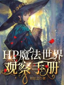 hp魔法界的生活 评论