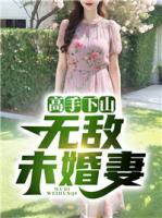 陈宁沈慕青高手下山无敌未婚妻 著