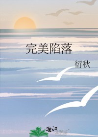 日本电视剧完美陷阱