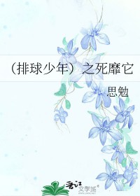 排球少年之死靡它