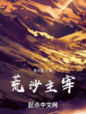 荒沙主宰无错版