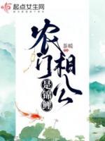 农门相公是锦鲤讲什么