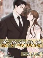 妻子的陷阱秦颜大结局完整版