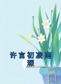 许言初凌南琛名字