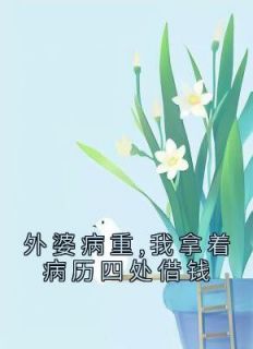 林稚晚顾沉抖音文