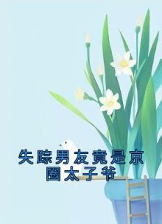 顾沉林稚晚