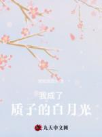 穿成质子他貌美如花