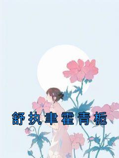 舒情霍总