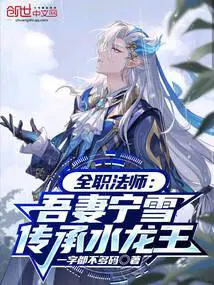 全职法师我老婆是穆宁雪