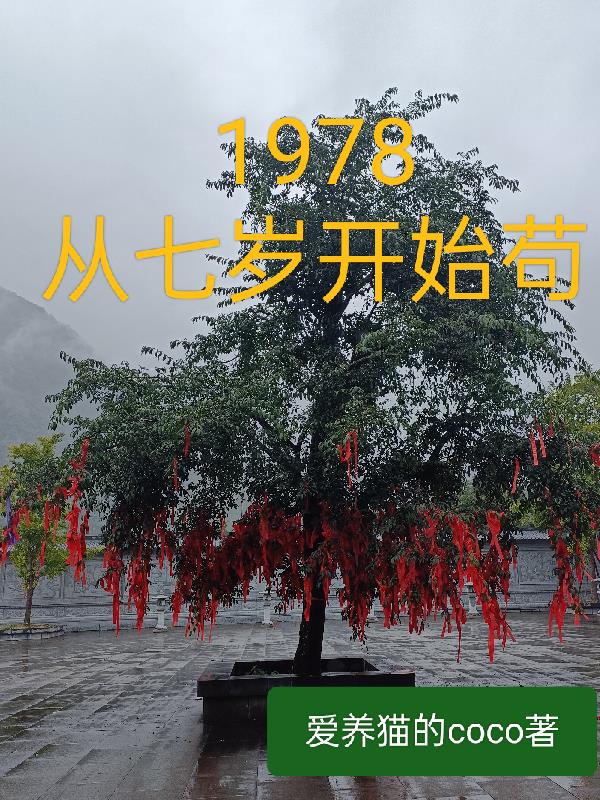 穿越从1978开始