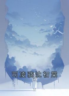 女主人公沈初