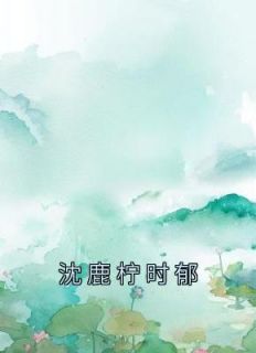 沈郁年时念晨免费