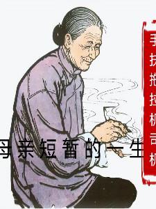 母亲短暂的一生作文