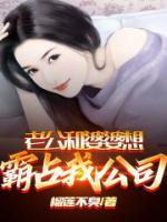 老公和婆婆想霸占我公司怎么办