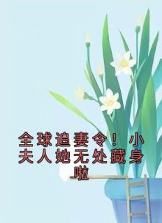 全球追妻令老婆离婚无效无弹窗