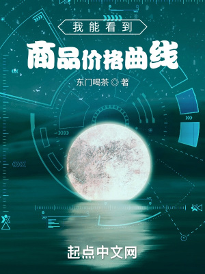 我能看到商品价格曲线TXT