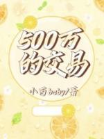 500万怎么样