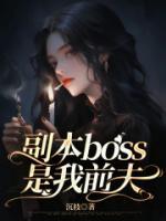 boss副本什么意思