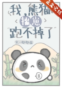 我熊猫揣崽跑不掉了免费阅读