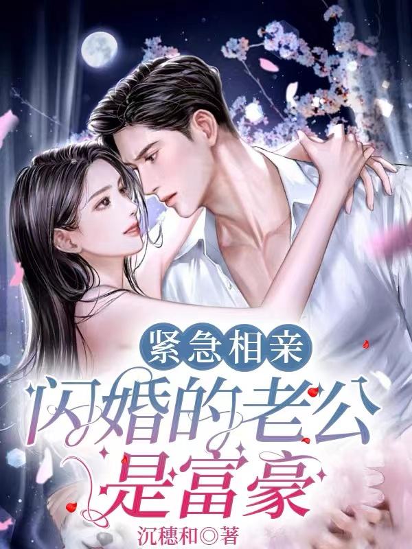 闪婚的老公是富豪 沉穗和