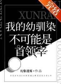 我的幼驯染不可能是首领宰格格党