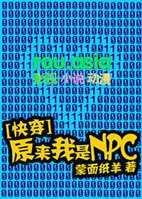 原来我是npc[快穿