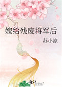 嫁给残废将军后txt